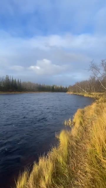 Второй день на Кольском #нахлыст #flyfishing #рыбалка #кольс