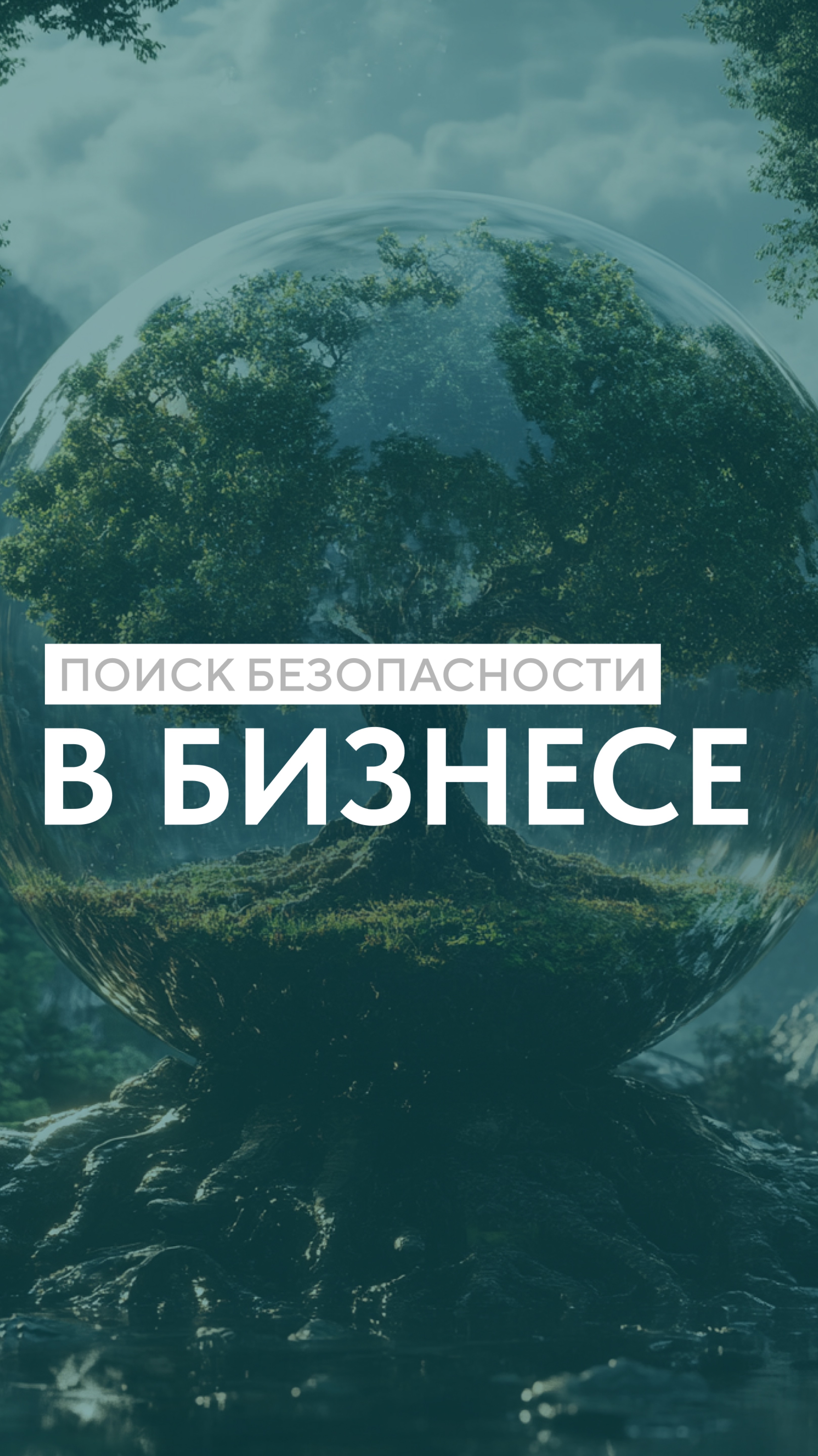 Поиск безопасности в бизнесе