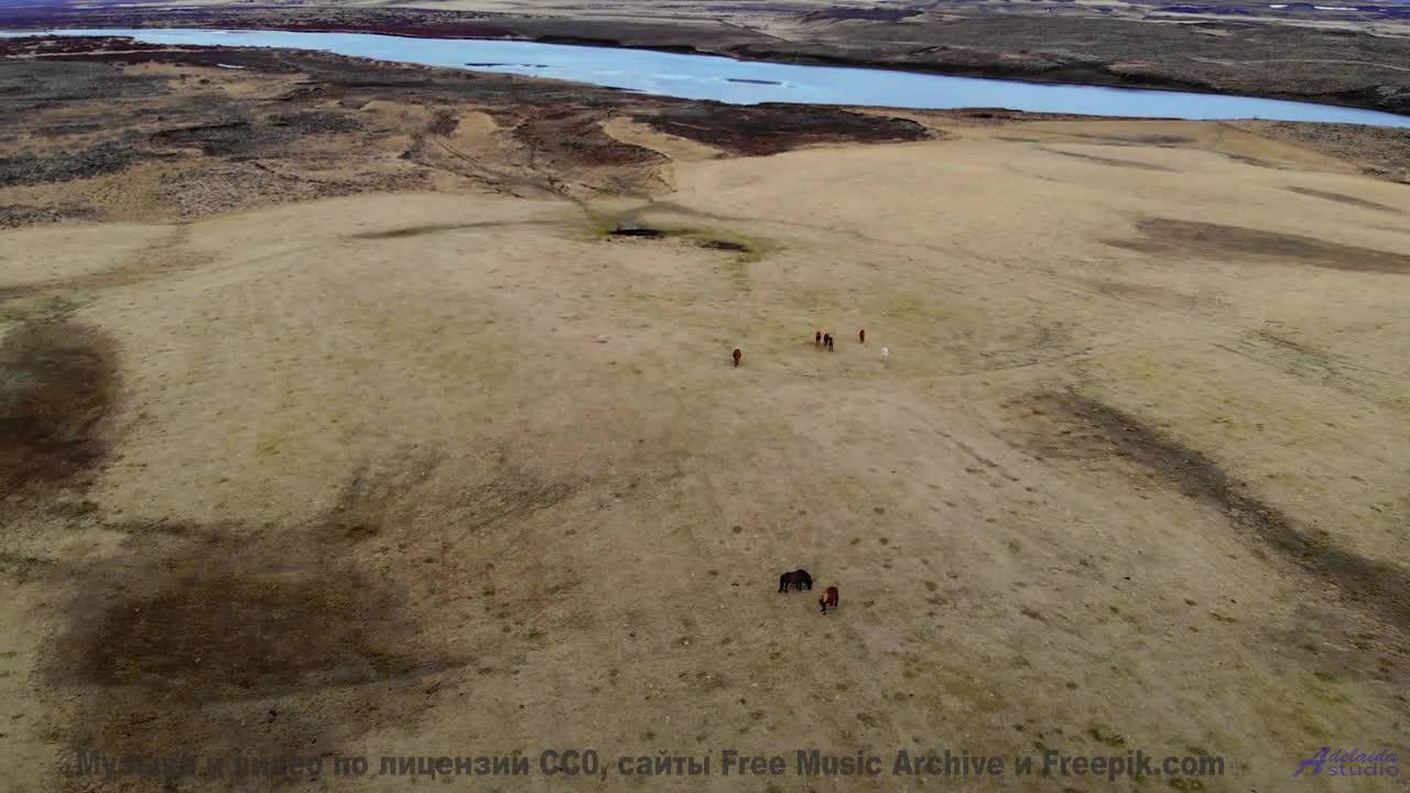 Музыка пробуждает внутри забытые тайны - FeRieN -- Phillip Gross -- HoLiDaYS