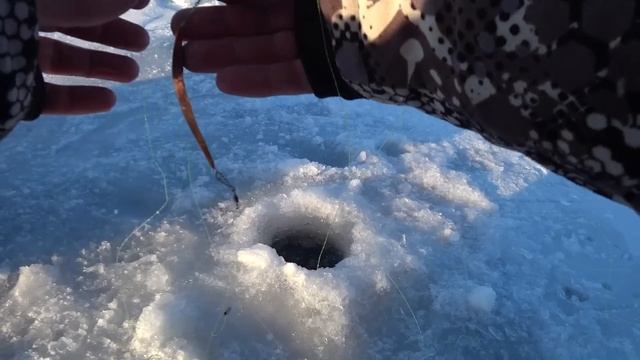 ЗАРУБА С ЖЕНОЙ НА РЫБАЛКЕ!!! ПОЙМАТЬ БОЛЬШЕ ОКУНЕЙ!