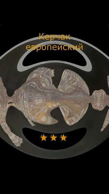 Русская Рыбалка 4! Угадай рыбку по картинке! Челендж РР