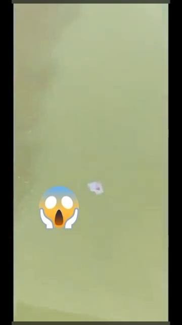 опс