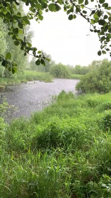 Под дождем, промок, рыбалка