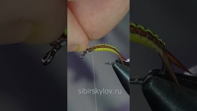 Личинка Веснянки. Stonefly Nymph Сибирский Лов #мушки #flytying #fl