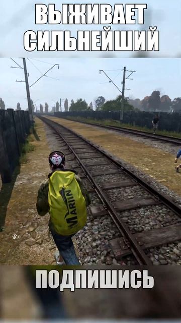 DayZ - Светошумовая граната VS кепки #dayz #дейз