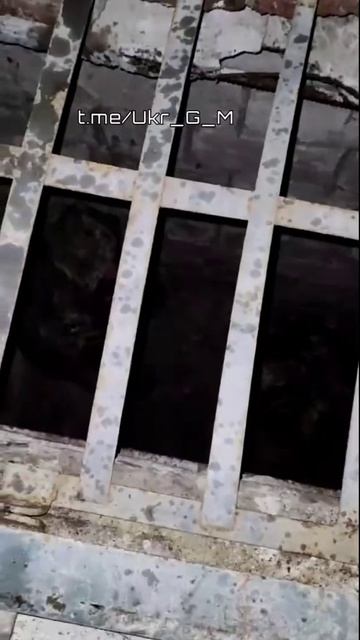 Двое боевиков 95 бригады ВСУ решили сбежать с позиций и даже угнали машину.Но попытка побега не удал