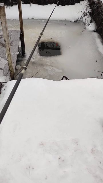 Ловля зимой карася на поплавок🧐🧐🧐