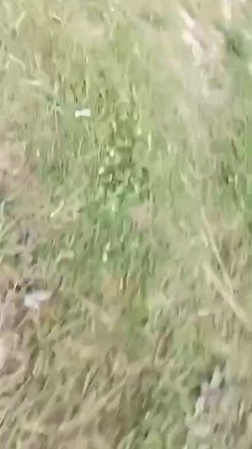Ребята мы щуку поймали 😂