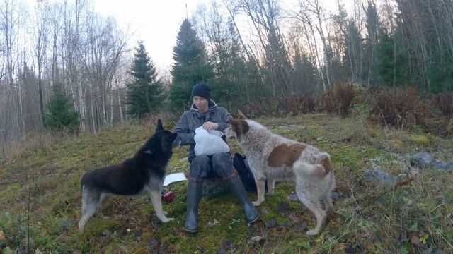 Как Прекрасны Таёжные Озера где нет человека..