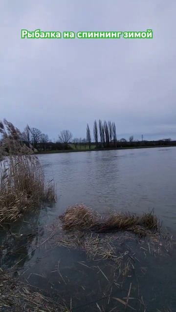 Рыбалка на спиннинг зимой река Майн Германия Бавария ?