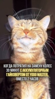 Кайф как у кота — когда в руках Yodo Master!