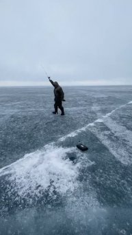 Байкальский омуль. #омуль #Байкал #рыбалка #fishing