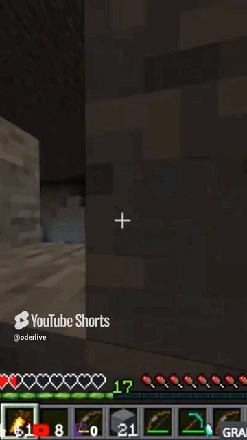 Minecraft Лучшее #895