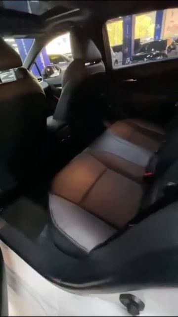 Toyota Levin.