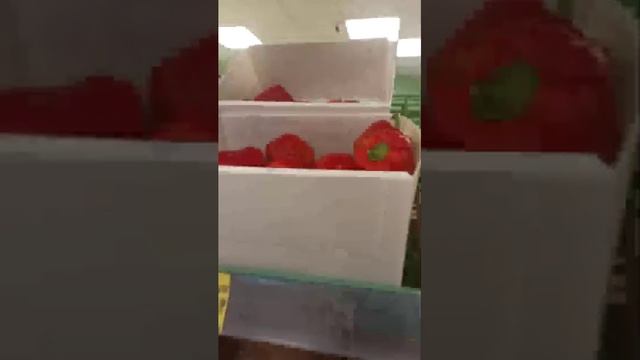 Пятёрочка актуально