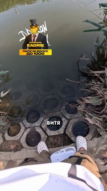 🤯Как бюджетная приманка принесла трофейный улов🎣