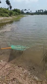 как кидать кастинговый сеть 😉🐟🐟🐟🐟 #fish #озеро #рек