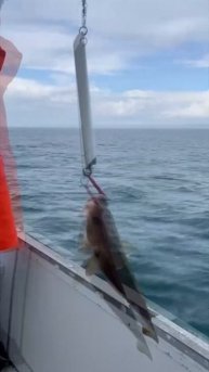 мурманские морские рыбалки