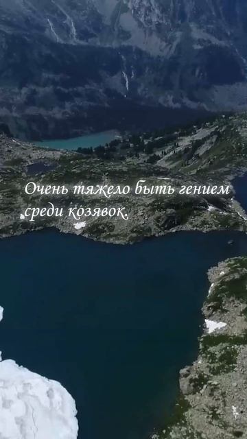 Цитата с юмором #мудрость #высказывания #мудрыеслова #?