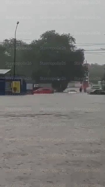 Солнечнодольск 12.05.2025 год