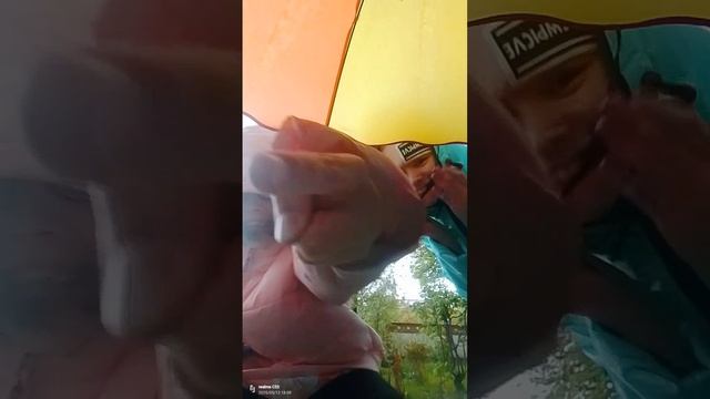 песня карапуз