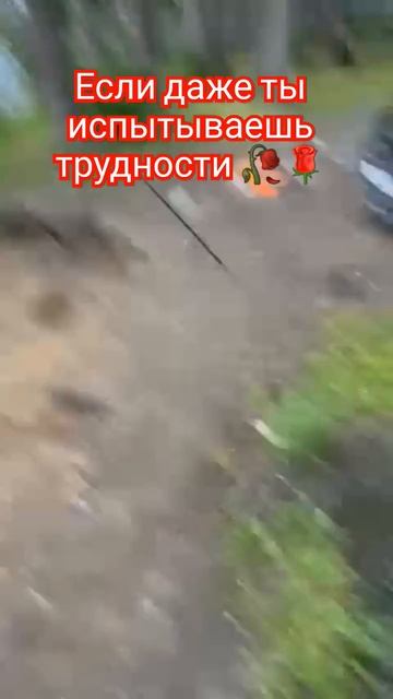 #коран #хадисы #религия #2025 #automobile #юмор #цитатыосмысле #
