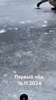 Первый лёд 16.11.2024