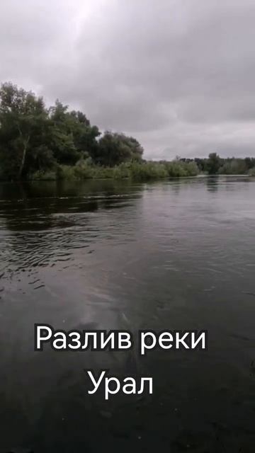 |Разлив реки Урал|           #Урал #разливы #паводок #лето2024
