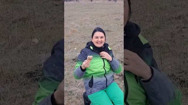 Сбор грибов на грибалке_синеножка на лугу #грибы #сбор?