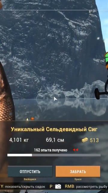 Fishing Planet Уникальный Сельдевидный Сиг #игра #рыбалка #fish