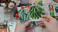 Какие сорта семян сажать в огороде часть (12)