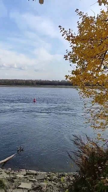 Река Обь, город Колпашево, Томская область