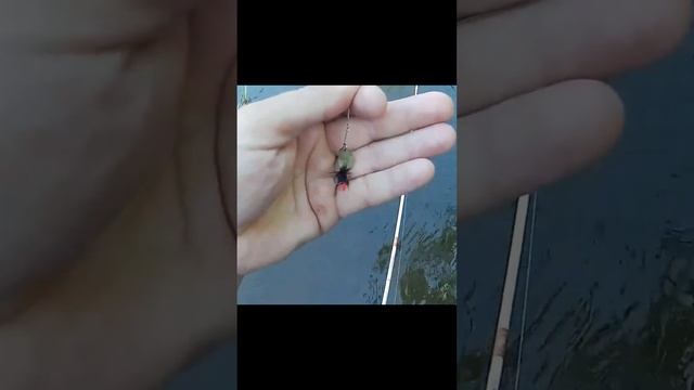 🎣Маленькая речка, Большие эмоции: Азартная рыбалка н?