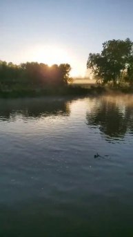 Утро на рыбалке