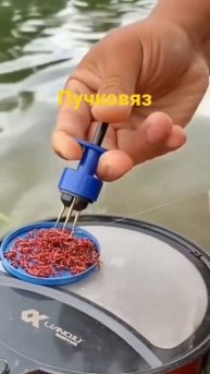 пучковяз, зля мотыля