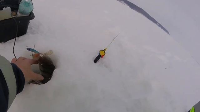 За окунем 23февраля