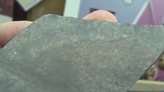 Пробирная галька из раскопа по Измайлова 48