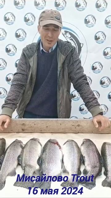 16 мая 2024 Мисайлово Trout. Уловы наших рыбаков