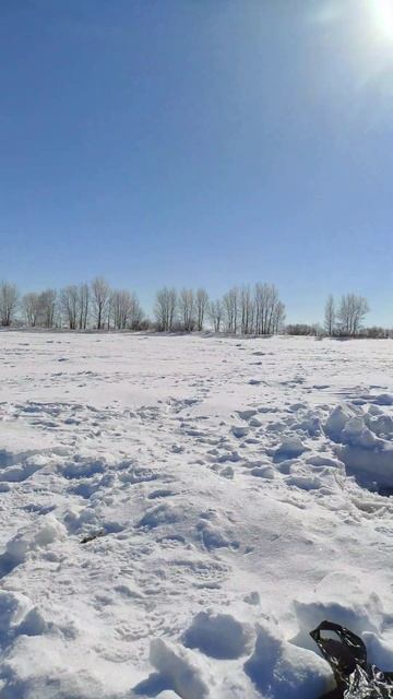 Зимняя рыбалка 2024 закрытие сезона , #asmr #fishing #doityourself #game