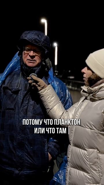 В штиль клёва нет? #рыбалка #зимняярыбалка #клев  #рыбак