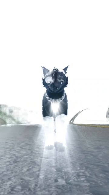 Прекрасное звёздное племя) ❤️ ❤️
Forest cats/WCUE/2025/shorts/