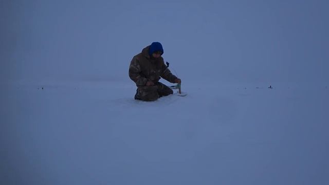 Коргалжынский заповедник: зимняя рыбалка перед стихи?