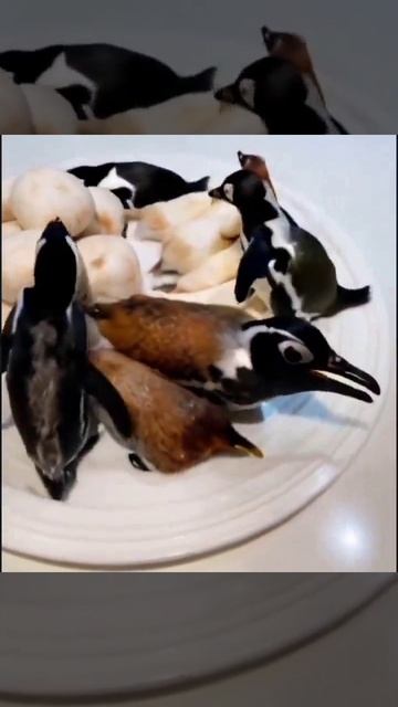12 (online-video-cutter.com) (5)
