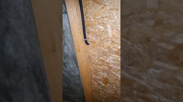 1000023620.mp4 (Собака смотрит на электроснабжение нового дома А-фрейм)