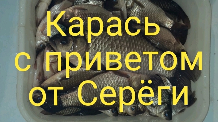 КАРАСЬ С ПРИВЕТОМ  от Серёги