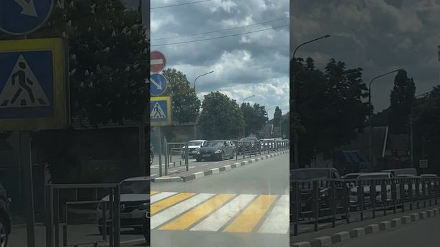 Бульвар Одессы весь в цвету
