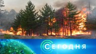«Сегодня»: 13 мая 2025 года. 08:00 | Выпуск новостей | Новости НТВ
