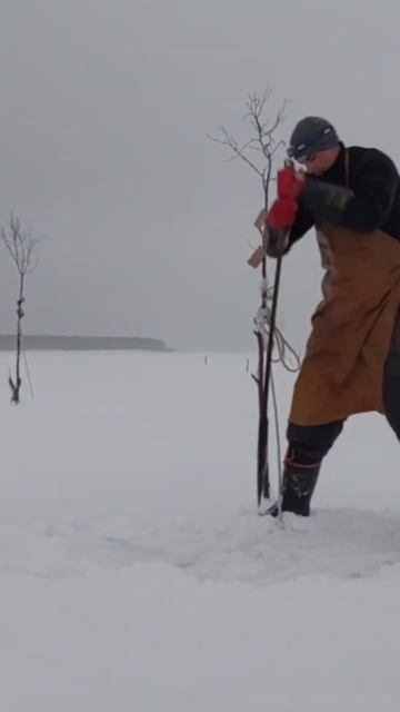 Мошенники они такие😂 будьте осторожны ⚠ #север #море