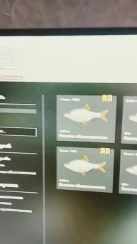 #shorts Русская рибалка 4 р.Сура Трофей.Плотва 1.351кг