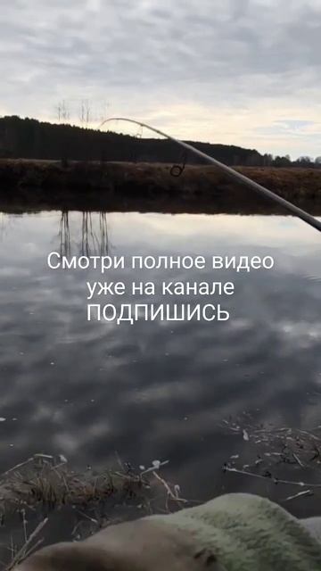 Весенний микроджиг Рыбалка на реке Март 2024